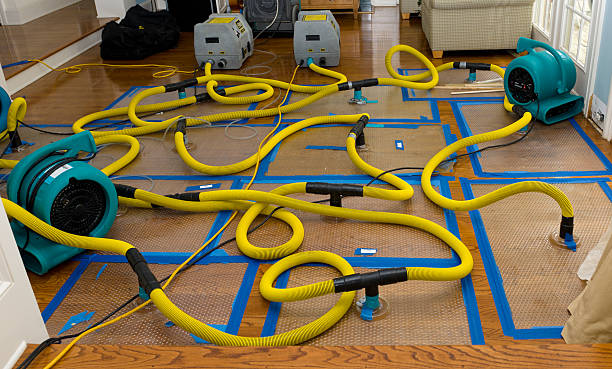 Professional Crawl Space Water Removal technician working in Tecate, CA